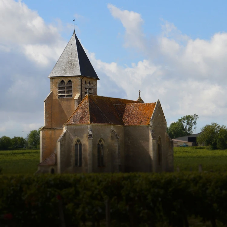 Domaine Jean-Marc Brocard Winery