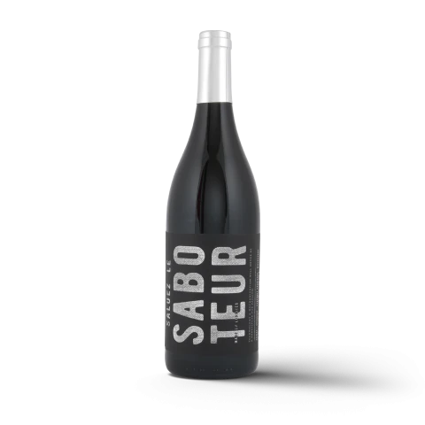 Luddite Saboteur rot Südafrika - Walker Bay 2021