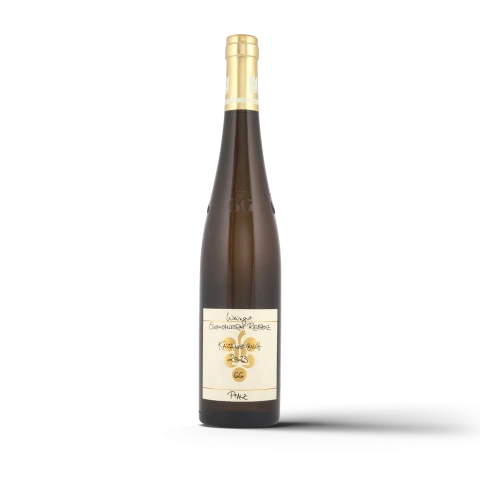 Ökonomierat Rebholz Kastanienbusch Riesling GG  Pfalz 2023