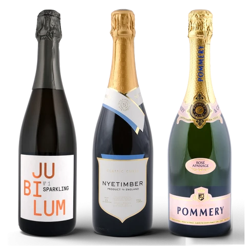 Sparkling discovery pack: (3 bottles)
