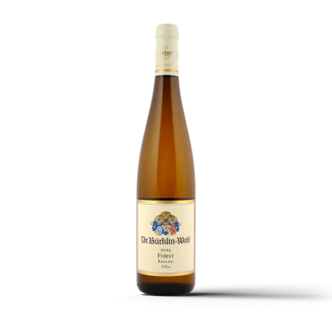 Winery Dr. Bürklin-Wolf Forst Riesling Village 2025